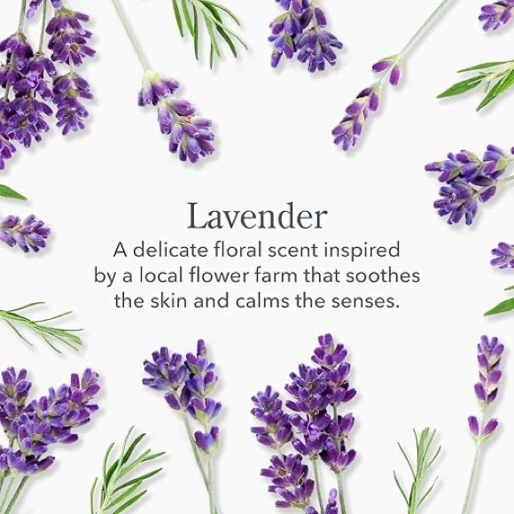 NWT Beekman 1802 Lavender Whipped Body Cream Whipped Body Cream‎